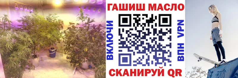 ТГК гашишное масло  Апрелевка 