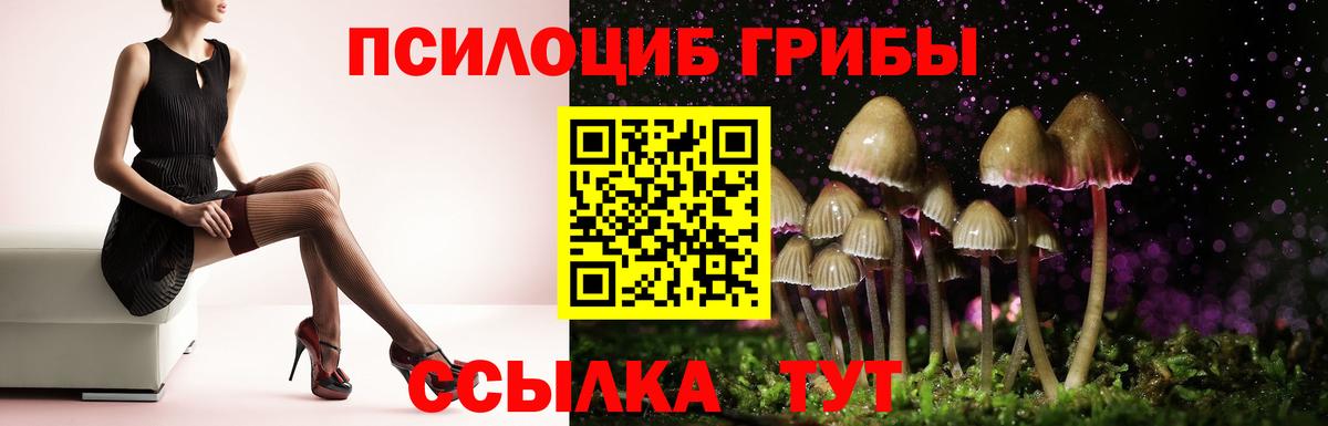Апрелевка  Псилоцибиновые грибы ЛСД  Вход с VPN 
