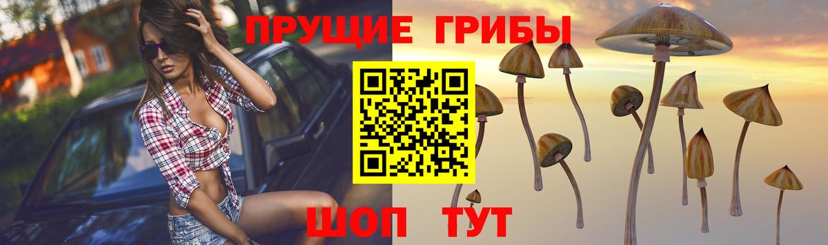 Галлюциногенные грибы ЛСД Апрелевка